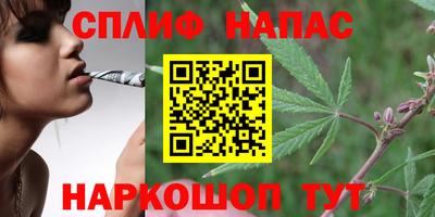 mdpv Кимры